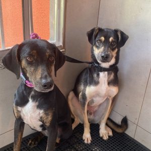 Maria-e-Toby